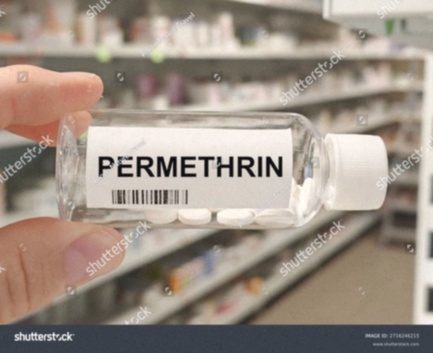 Permethrin Bestellen Generika ohne Rezept