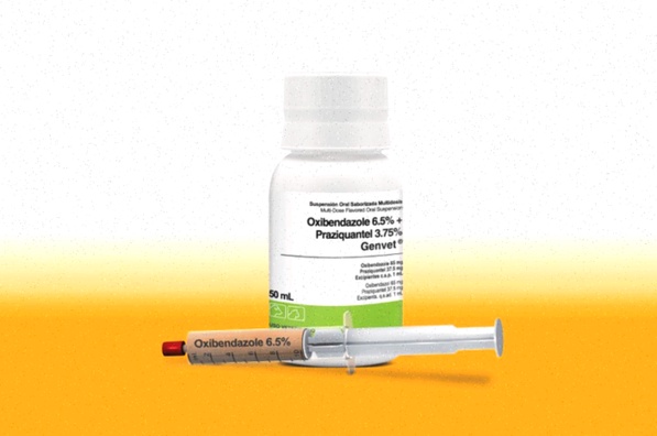 Praziquantel Rezeptfrei Generika Apotheke