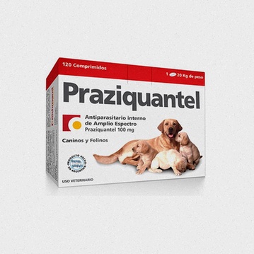 Praziquantel Kaufen Apotheke Preis